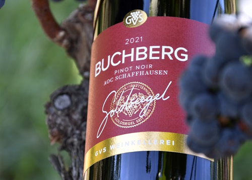 Buchberg Goldsiegel Weinflasche im Rebberg