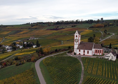 Rebberg Hallau Kirche St. Moritz 2023 Herbst