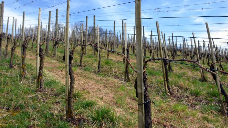 Siblinger Eisenhalde