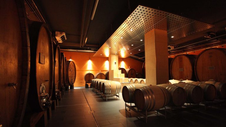 GVS Weinkellerei Holzfasskeller