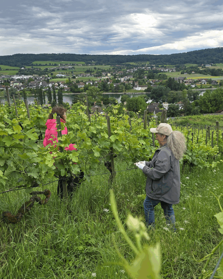 GVS Weinseminar 2025, Stein am Rhein, Michael Leibacher