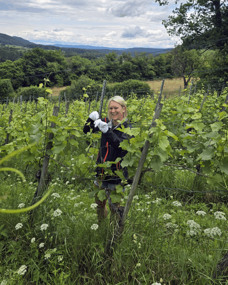 GVS Weinseminar 2025, Stein am Rhein, Michael Leibacher