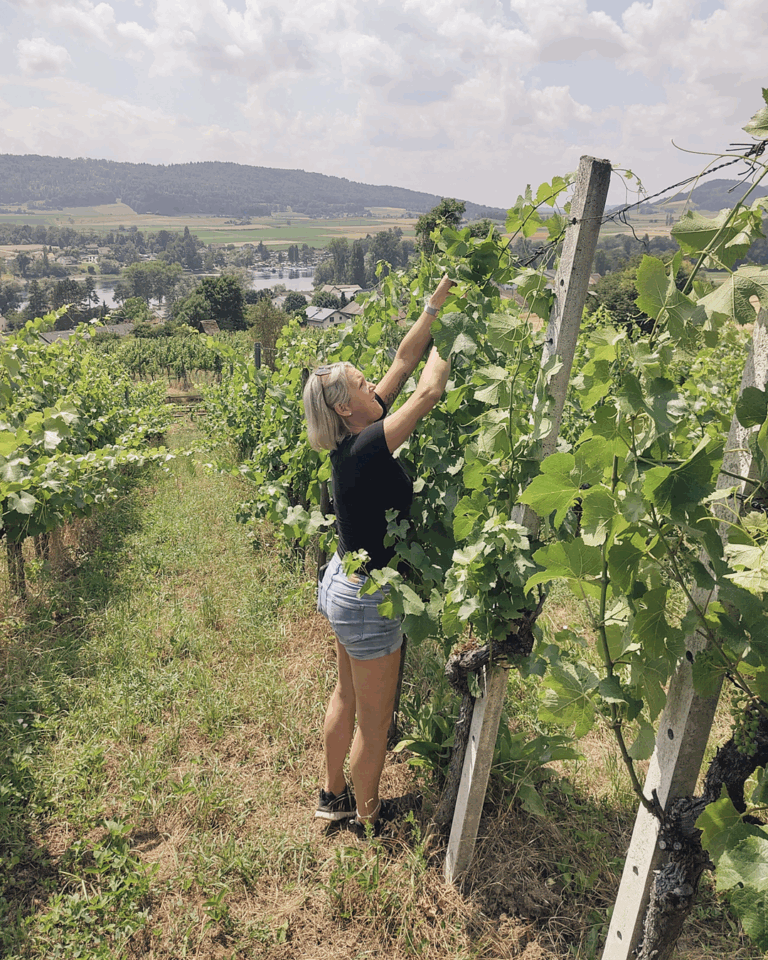 GVS Weinseminar 2025, Stein am Rhein, Michael Leibacher