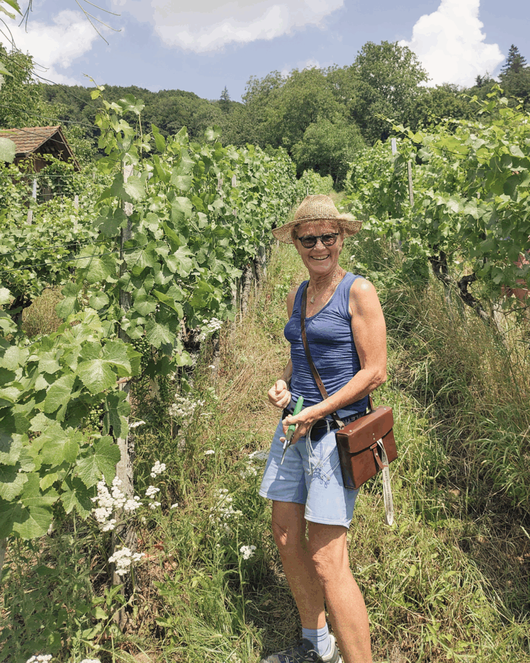 GVS Weinseminar 2025, Stein am Rhein, Michael Leibacher