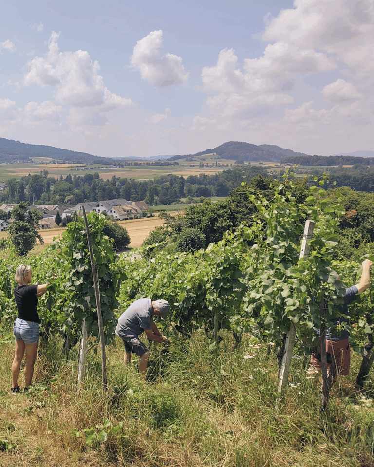 GVS Weinseminar 2025, Stein am Rhein, Michael Leibacher