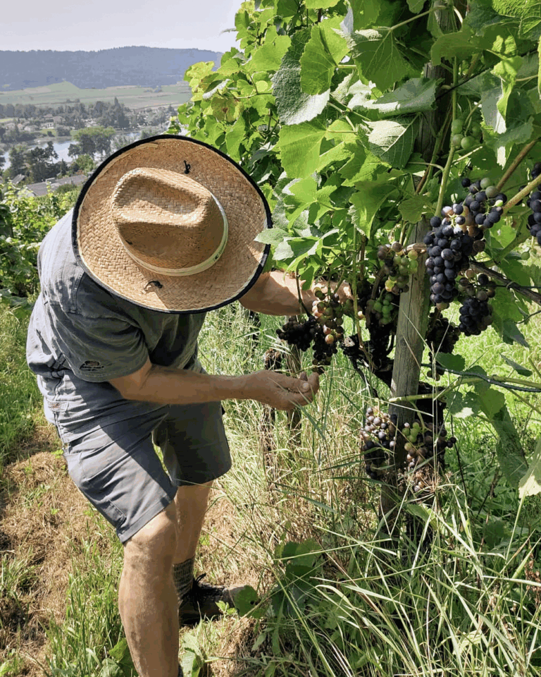 GVS Weinseminar 2025, Stein am Rhein, Michael Leibacher