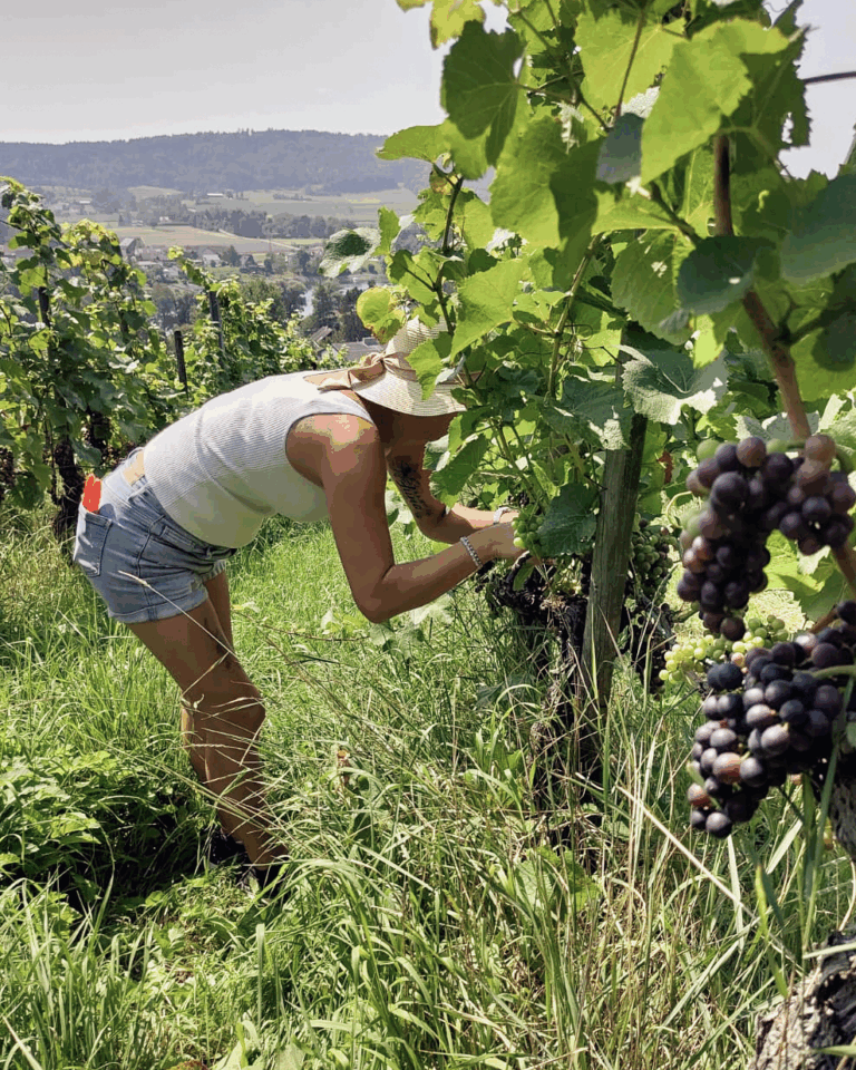 GVS Weinseminar 2025, Stein am Rhein, Michael Leibacher