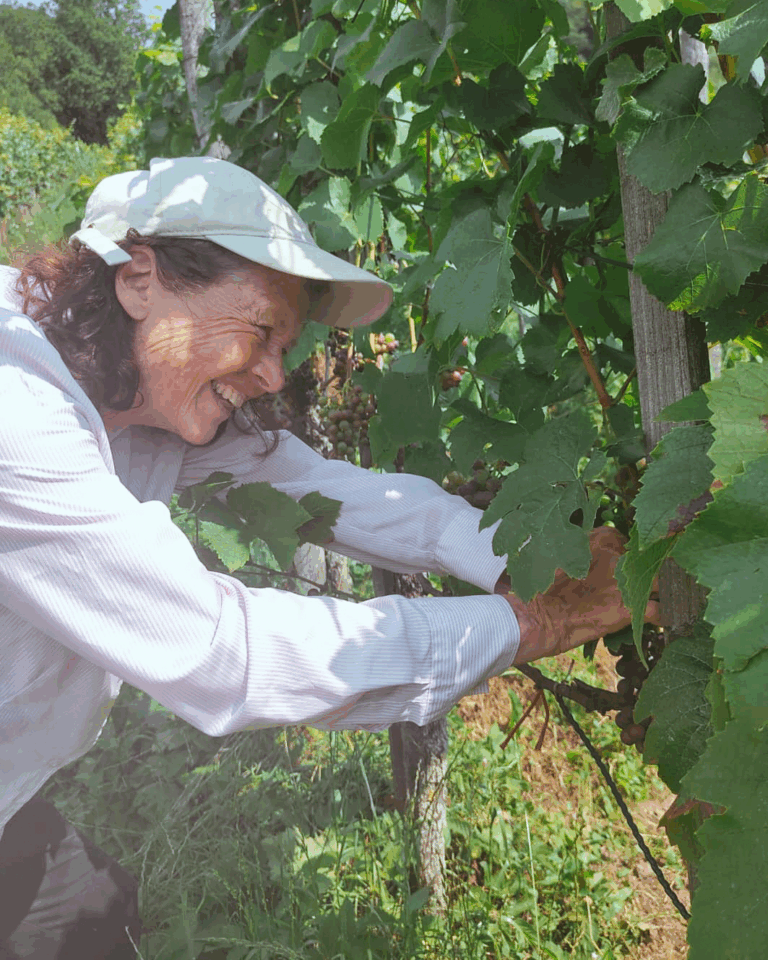 GVS Weinseminar 2025, Stein am Rhein, Michael Leibacher