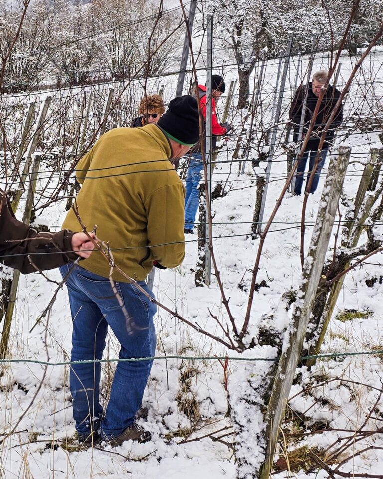 GVS Weinseminar 2025, Stein am Rhein, Michael Leibacher
