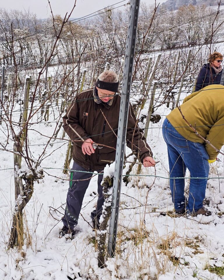 GVS Weinseminar 2025, Stein am Rhein, Michael Leibacher