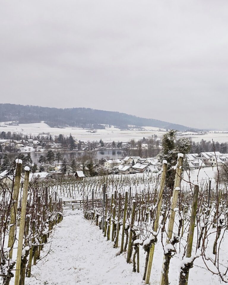 GVS Weinseminar 2025, Stein am Rhein, Michael Leibacher