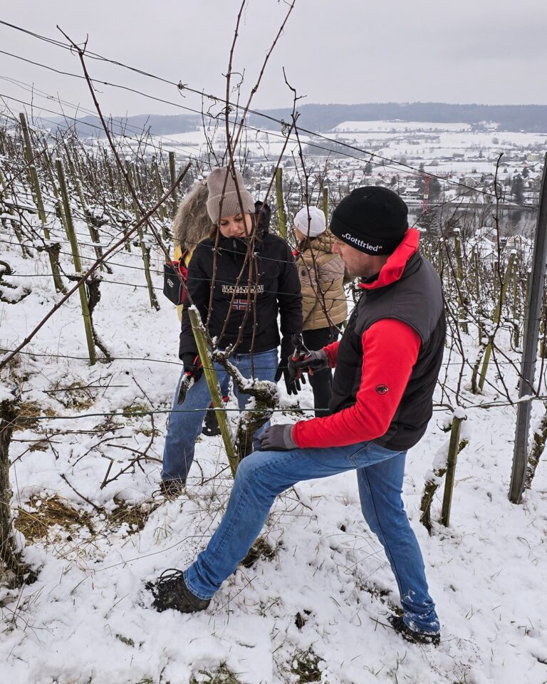 GVS Weinseminar 2025, Stein am Rhein, Michael Leibacher