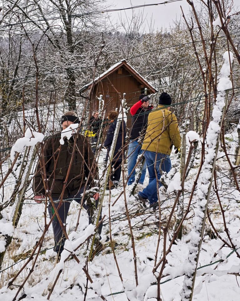 GVS Weinseminar 2025, Stein am Rhein, Michael Leibacher