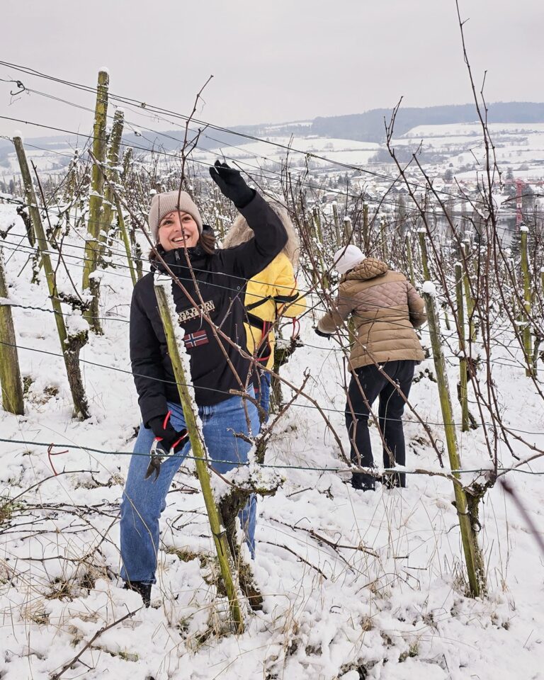 GVS Weinseminar 2025, Stein am Rhein, Michael Leibacher